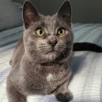 Photo of Cameron