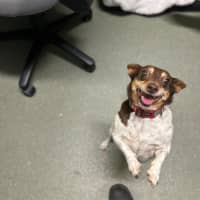 Photo of Buggerluggs