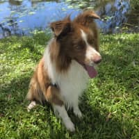 Photo of Louie