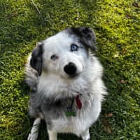 Photo of Luca