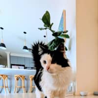 Photo of Maggie Moo