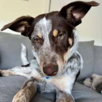 Photo of Cash