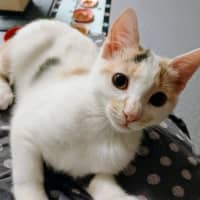 Photo of Lieffy