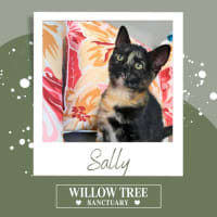 Photo of Sally