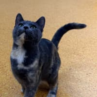 Photo of Maybelle