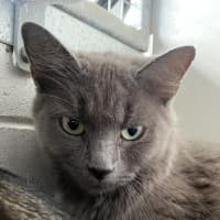 Photo of Coco