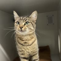 Photo of Willow