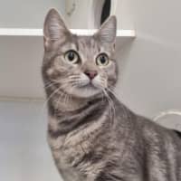 Photo of Leona