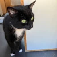 Photo of Sparkles