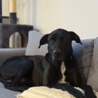 Photo of Duke