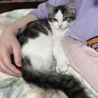 Photo of Bean Sprout