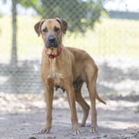 Photo of Dayna (Donya)