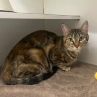 Photo of Zoe