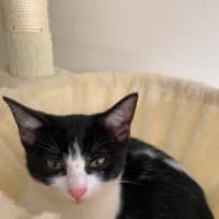 Photo of Little Chloe
