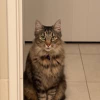 Photo of Cutie
