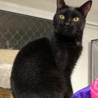 Photo of Cash And Radley