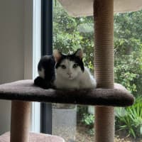 Photo of Winnie