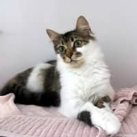 Photo of Sundae Sta012996