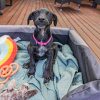 Photo of Winnie
