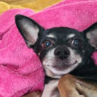 Photo of Rocky And Hugo