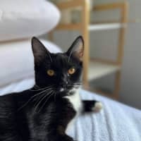 Photo of Sascha