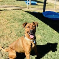 Photo of Belle