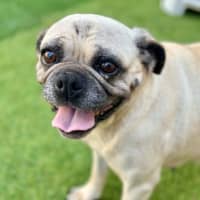 Photo of Wilma