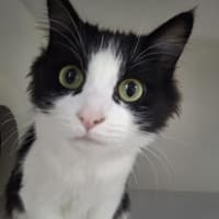 Photo of Skittles