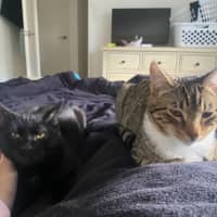 Photo of Jinx (With Bruni)