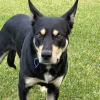Photo of Spencer