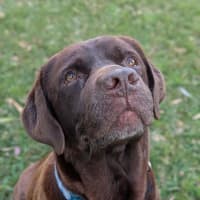 Photo of Coco