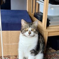 Photo of Bertie 
