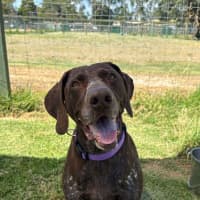Photo of Milo
