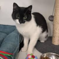 Photo of Sprout