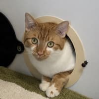 Photo of Alfie