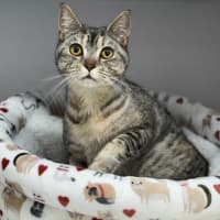 Photo of Charlotte