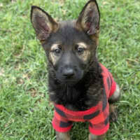 Photo of Matilda
