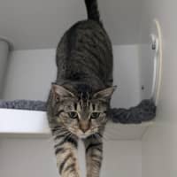 Photo of 🍇 Luna 5421 🍇