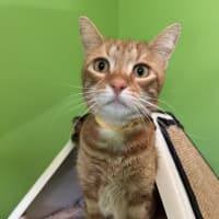 Photo of Sir Basil 