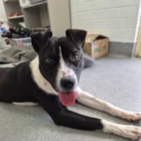 Photo of Kenny! 🤍🖤