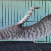 Photo of Brooke And Bruce