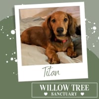 Photo of Titan