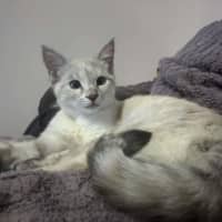 Photo of Rowena