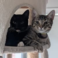 Photo of Millie & Zoe