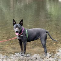 Photo of Sheila