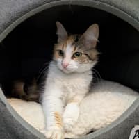 Photo of Millie