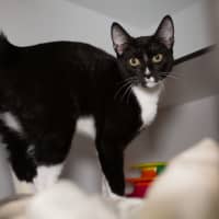 Photo of Bob