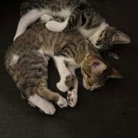 Photo of Miley & Robbie 