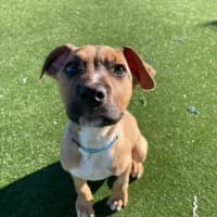 Photo of Cloud Imp 1722