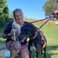 Photo of Secrets, The Greyhound 